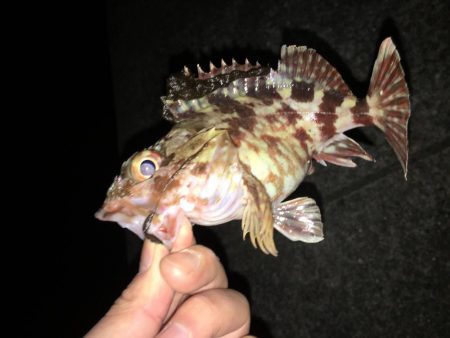 凪のガシリング