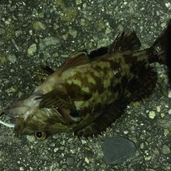 ライトライトライト