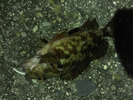 ライトライトライト