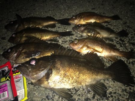 爆釣メバリング