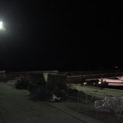 久しぶりのメバリング