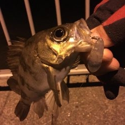 プラッギン…グ？