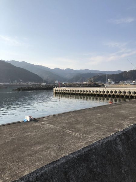 ５０センチカマス