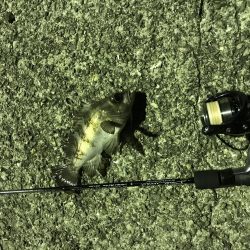 メバリングランガン