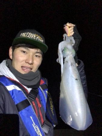 2018年初アオリイカGET!