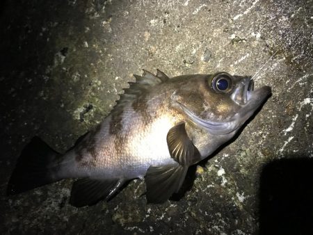 サイズアップならず!