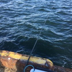 午後からエビ撒き釣り