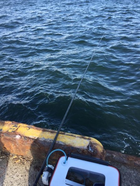 午後からエビ撒き釣り