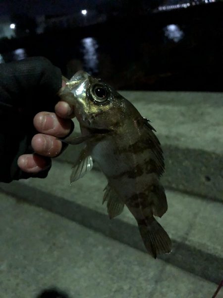 仕事終わりの癒し