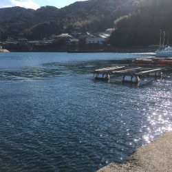 この時期は水温が低いので最低御坊まで‥