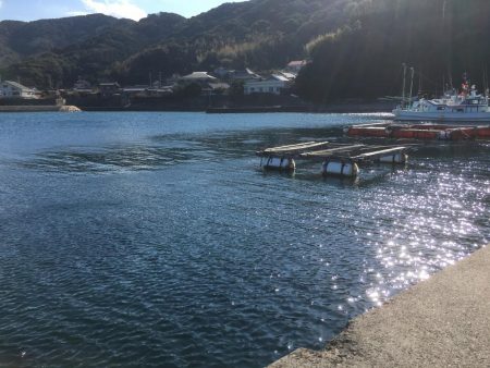 この時期は水温が低いので最低御坊まで‥