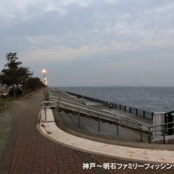 極寒落とし込み