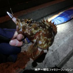 ライトゲーム日和