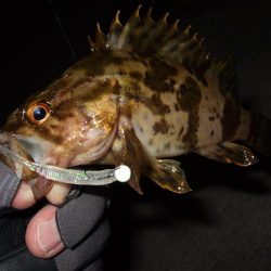 ガッシー君にに癒されました