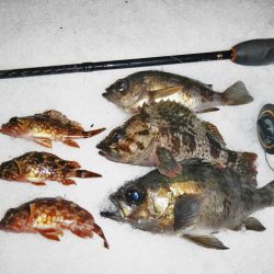 今夜も行ってしまいました