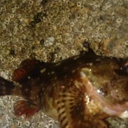 リベンジ成功！？