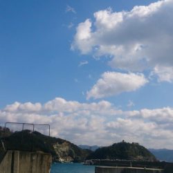 アジでもつれないかなーと