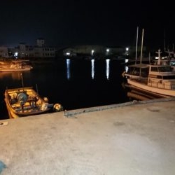 今日もプラグ縛り