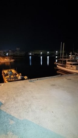 今日もプラグ縛り