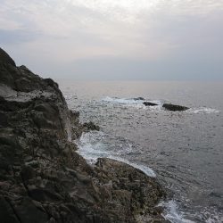 太地でグレ釣り