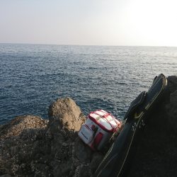 方座浦でグレ釣り