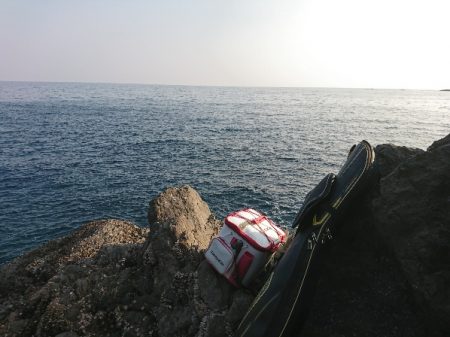 方座浦でグレ釣り