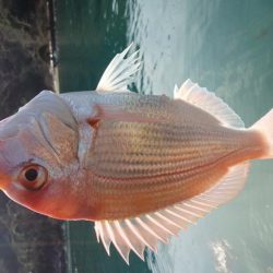 いい天気♪(´ε｀ )