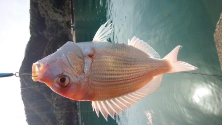 いい天気♪(´ε｀ )