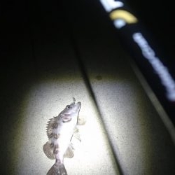 仕事終わりランガン3時間