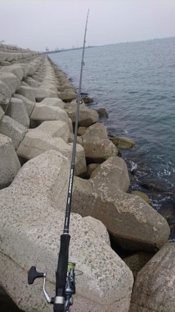 なんか釣れんかな