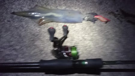 ヤリイカエギング