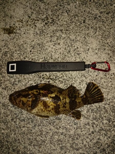 気温０℃でしたが…