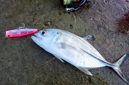 寒気が緩みトップで出ました。