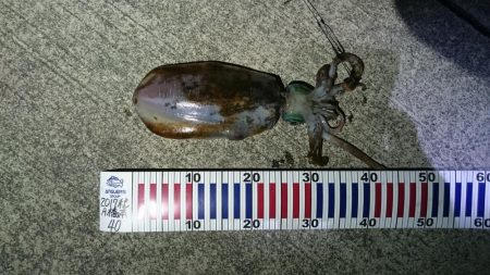 水温が低いので釣れたらいいけど！