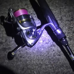 やっぱり下手ですわ～