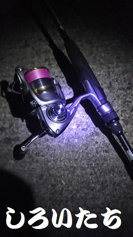 やっぱり下手ですわ～