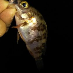 ここまできて、これだけか～