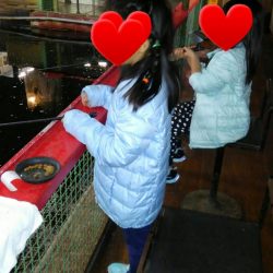 室内釣堀(フナ2匹)