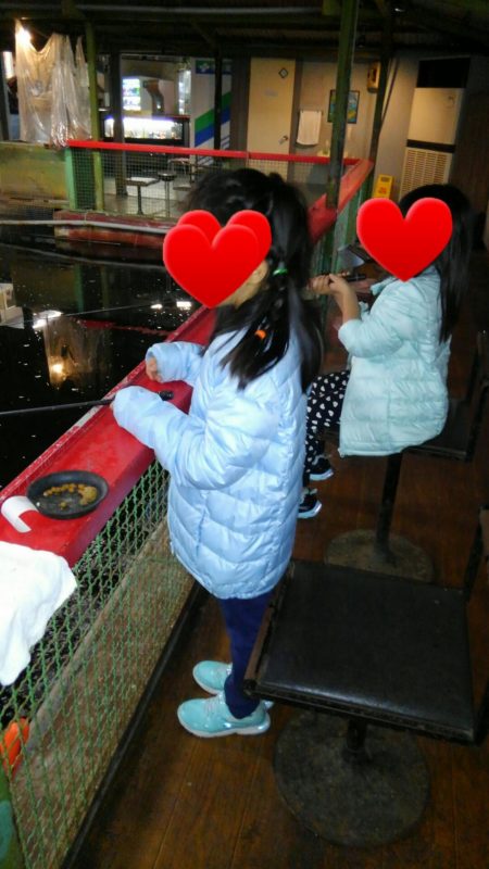 室内釣堀(フナ2匹)