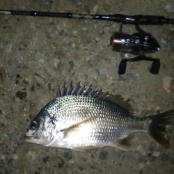 ホームの淀川でライトゲーム