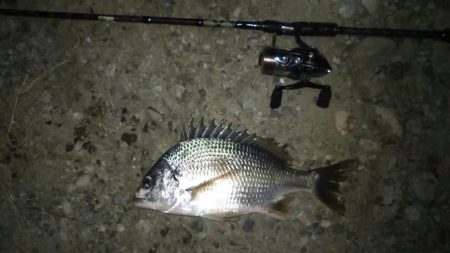 ホームの淀川でライトゲーム