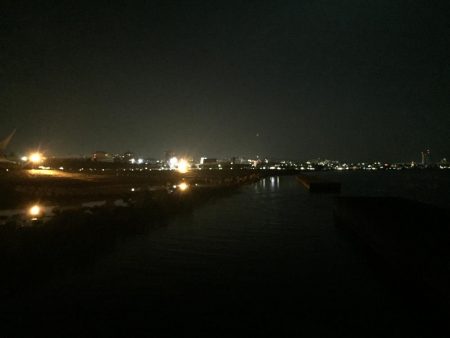 今年初のタケノコ狩り