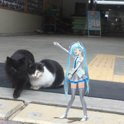 マイワシ大量です