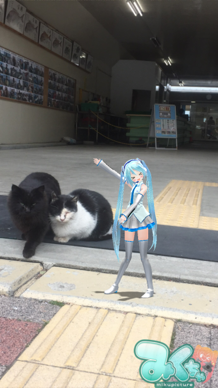 マイワシ大量です