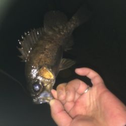 メバリング、ジグ