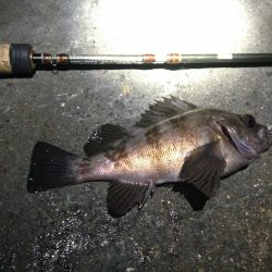 風は無い、潮流も無い