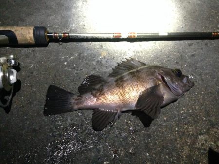 風は無い、潮流も無い