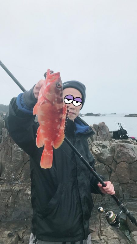 和歌山遠征 磯デビュー