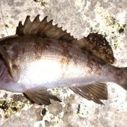 ちびっ子たちと