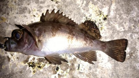 ちびっ子たちと